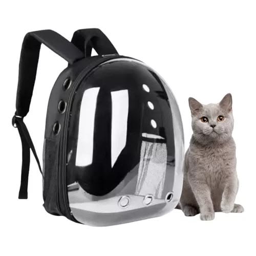 La ventana al mundo para tu mascota con nuestra mochila burbuja
